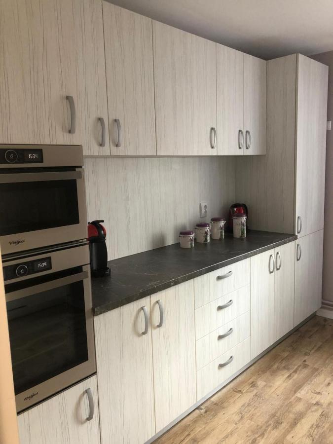 Sighisoara Apartment Dış mekan fotoğraf